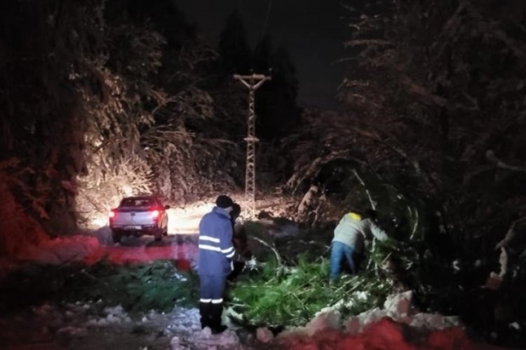 Fırtına direkleri devirdi, k&ouml;ylerde enerji kesintisi yaşandı