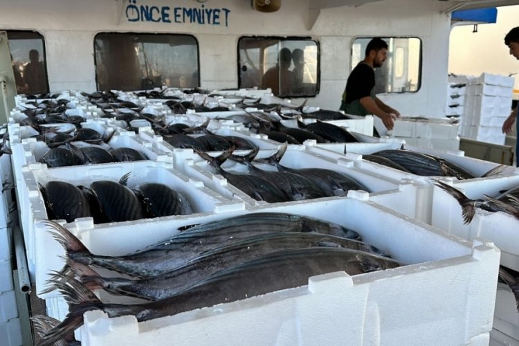 Tekirdağlı balık&ccedil;ılar, 30 ton torik avladı!