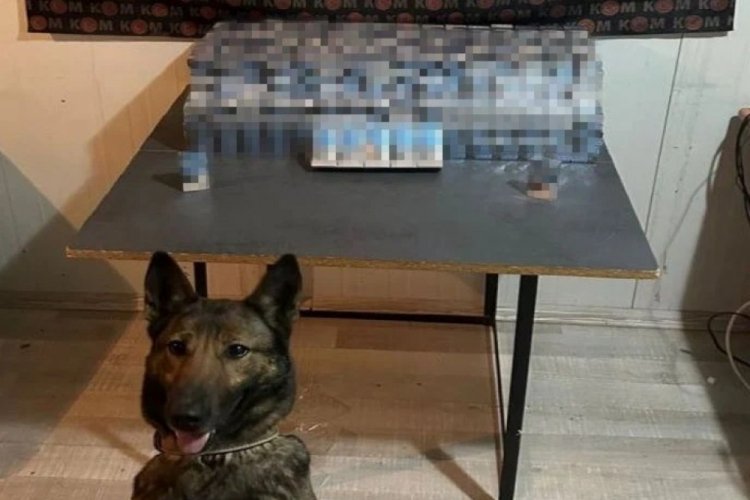 Erzincan'da ka&ccedil;ak sigara operasyonu: 1 g&ouml;zaltı