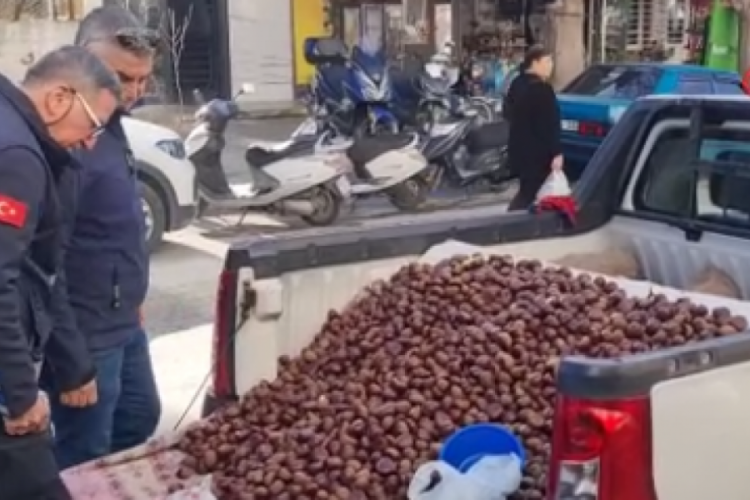İzmir'de &Ccedil;in kestanesi operasyonu: Satarken yakalandı