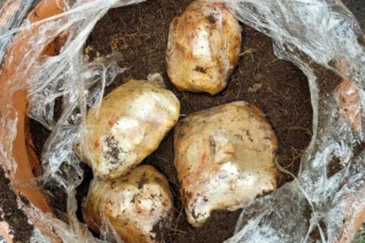 Sakarya'da 46,7 kilogram uyuşturucu ele ge&ccedil;irildi: 5 g&ouml;zaltı
