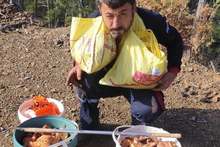 Mevsiminde topladığı mantarları satarak ayda yaklaşık 90 bin lira kazanıyor