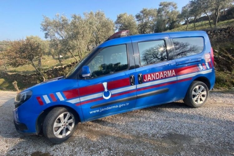 Aydın'da 30 litre zeytinyağı &ccedil;alan ş&uuml;pheli yakalandı