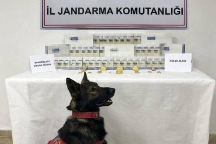 Sivas'ta yolcu otob&uuml;s&uuml;nden k&uuml;l&ccedil;e k&uuml;l&ccedil;e altın &ccedil;ıktı