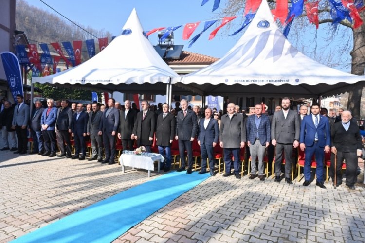 Bursa'da B&uuml;y&uuml;kşehir'den kestane &uuml;retimine destek