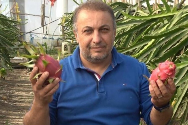 Ejder meyvesinin &uuml;reticisi oldu