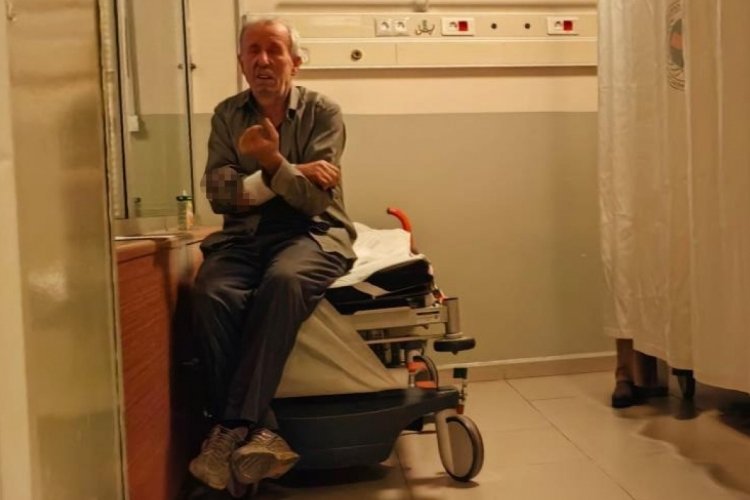 Bursa'da k&ouml;pek, sahibinin kolunu par&ccedil;aladı