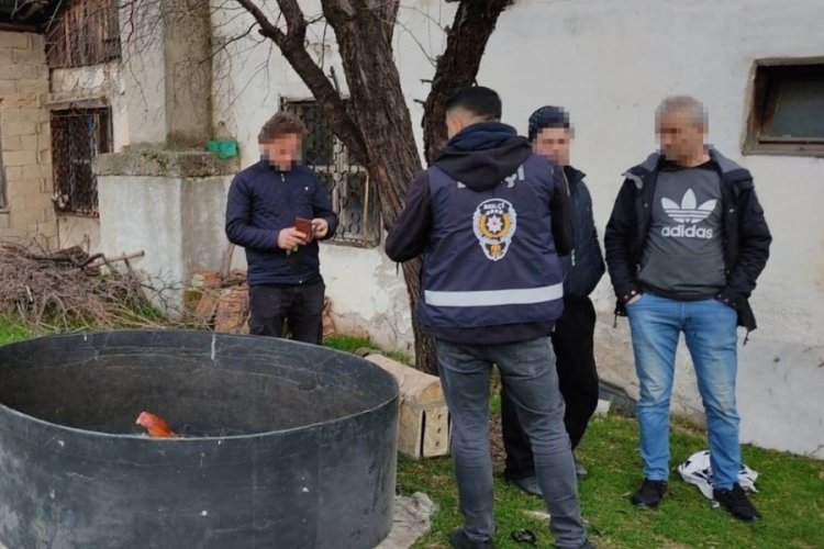 K&uuml;tahya'da horoz d&ouml;v&uuml;ş&uuml;ne polis baskını