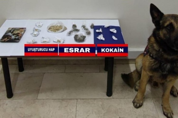 Bolu'da uyuşturucu operasyonu
