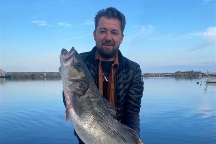 Kastamonu'da 11 kilogram ağırlığında levrek balık&ccedil;ı ağına takıldı