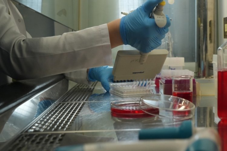 Bursa'da koronavirüsü yüzde 99 engelleyen burun spreyi geliştirildi