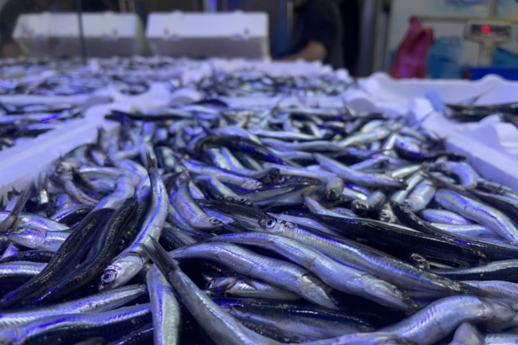 Tezgahlarda balık &ccedil;eşitliliği arttı, hamsi azaldı