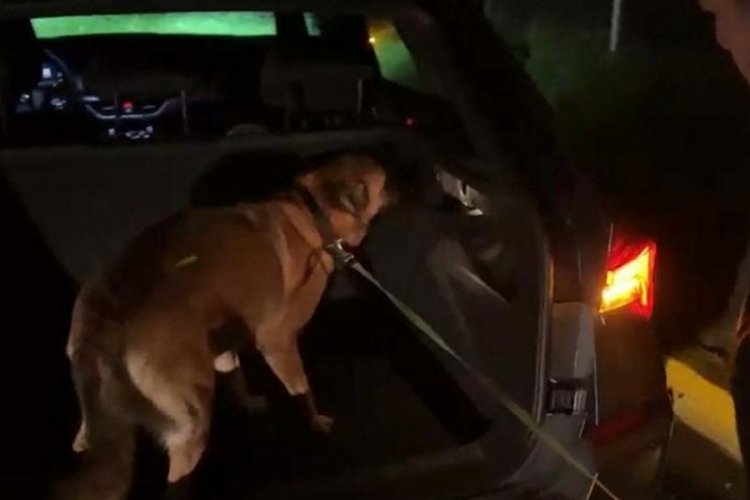 Aydın'da otomobildeki uyuşturucu taşıyorlardı, Tina'dan ka&ccedil;amadılar