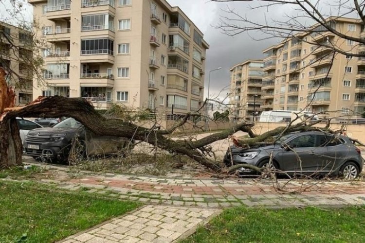 Bursa'da lodos hayatı felç etti!