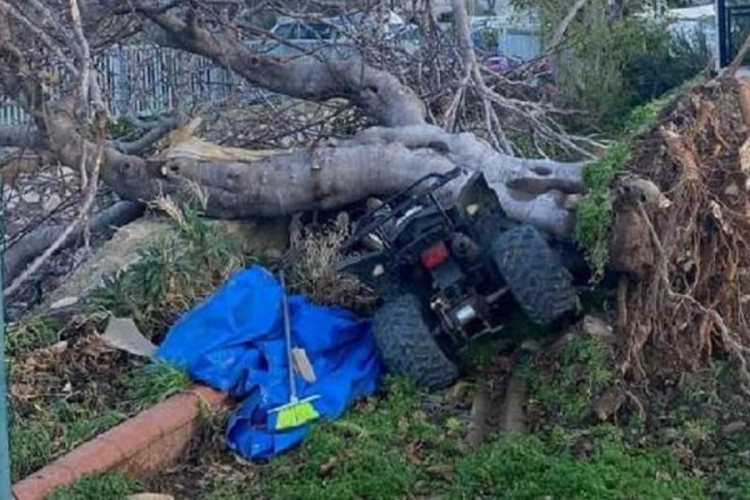 İzmir'de eğitime fırtına engeli! 3 g&uuml;n ara verildi