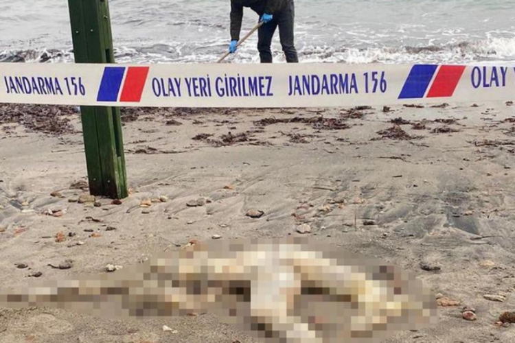 Muğla Bodrum'da başı olmayan erkek cesedi bulundu!