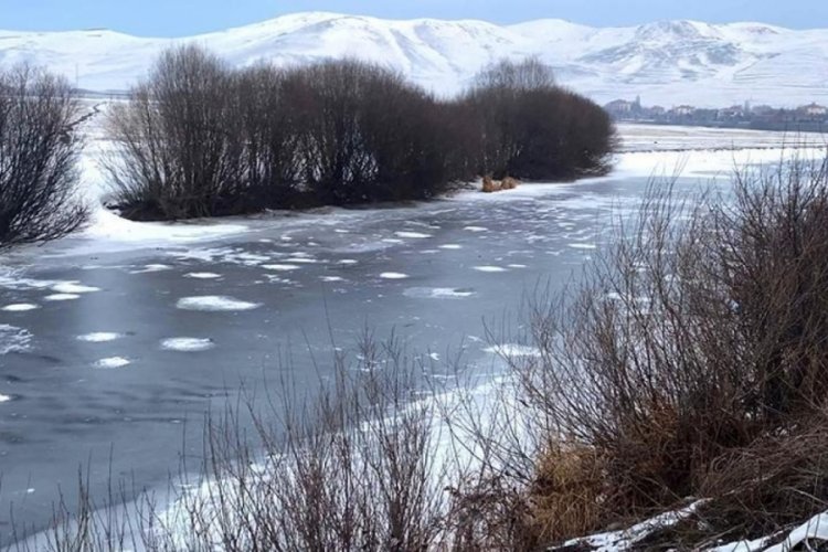 Ardahan'da soğuk hava sebebiyle Kura Nehri buzla kaplandı
