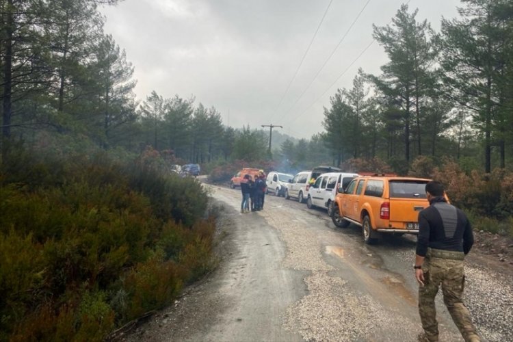 Muğla'da mantar toplamak i&ccedil;in gittiği ormanlık alanda kaybolan kişi 9 g&uuml;nd&uuml;r aranıyor
