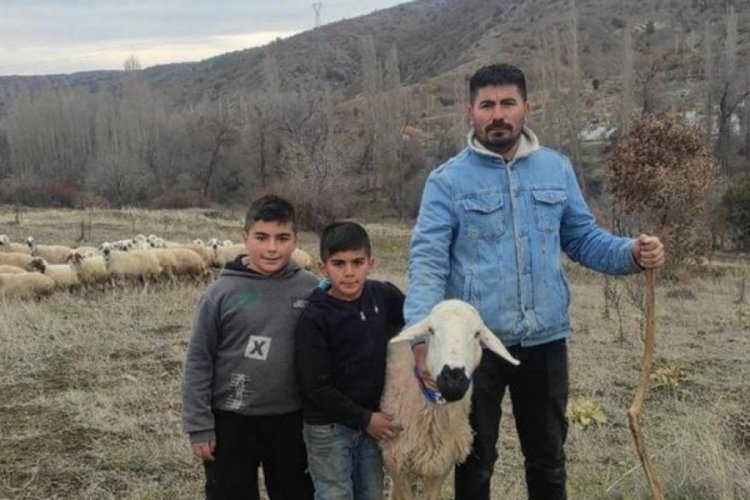 Şehir hayatından uzaklaştı! Koyun yetiştiricisi oldu