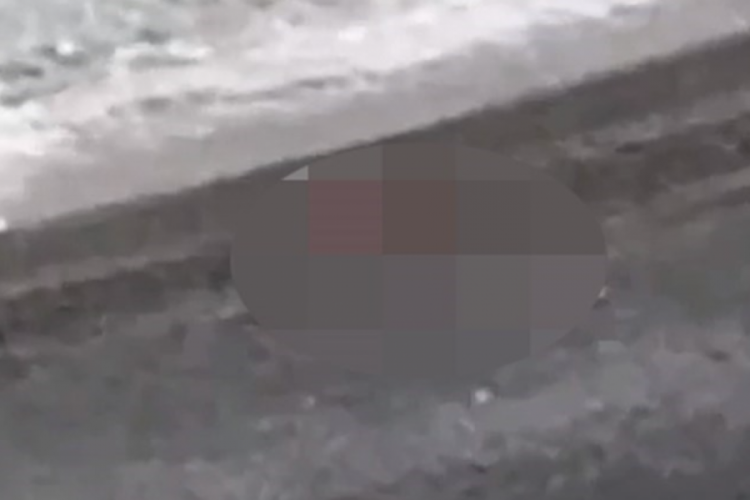 Plajda cinsel ilişki rezaleti! Ekipler harekete ge&ccedil;ti