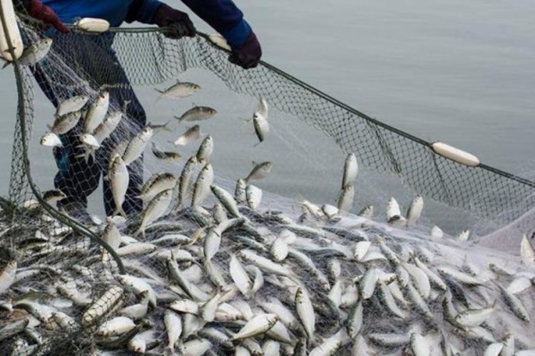 Su &uuml;r&uuml;nleri ihracatında 1,7 milyar dolarlık gelir