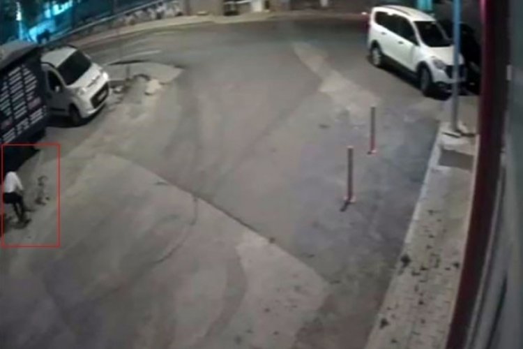Kırklareli'de k&ouml;peği &ouml;ld&uuml;ren sanıktan ilgin&ccedil; savunma