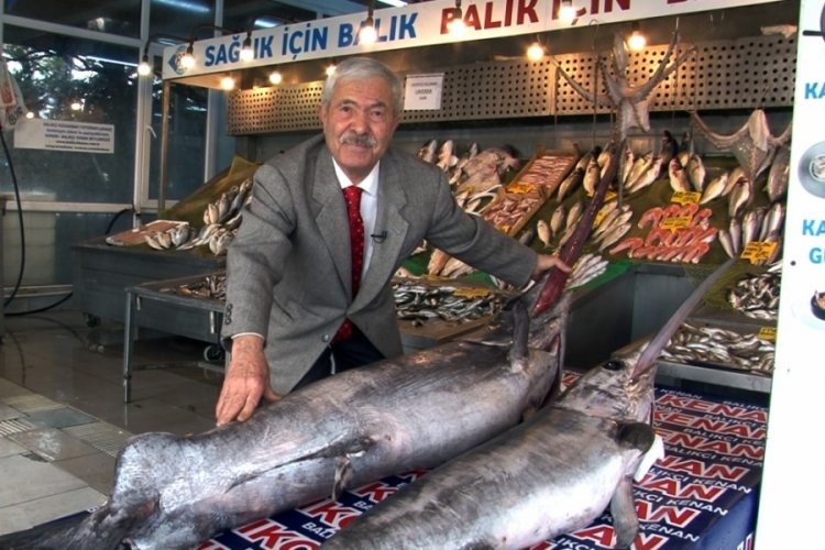 Marmara Denizi'nde dev kılı&ccedil; balıkları ağlara takıldı
