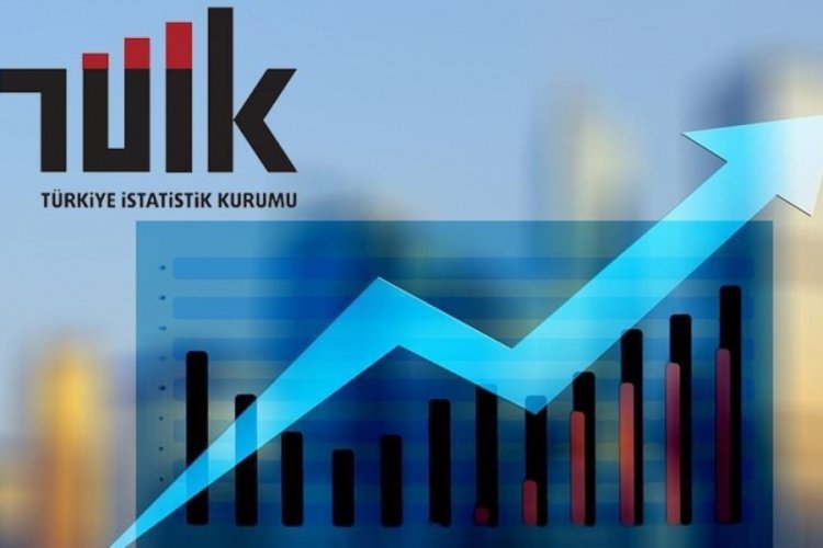 Tarım &uuml;r&uuml;nleri &uuml;retici fiyat endeksi Aralık ayında arttı