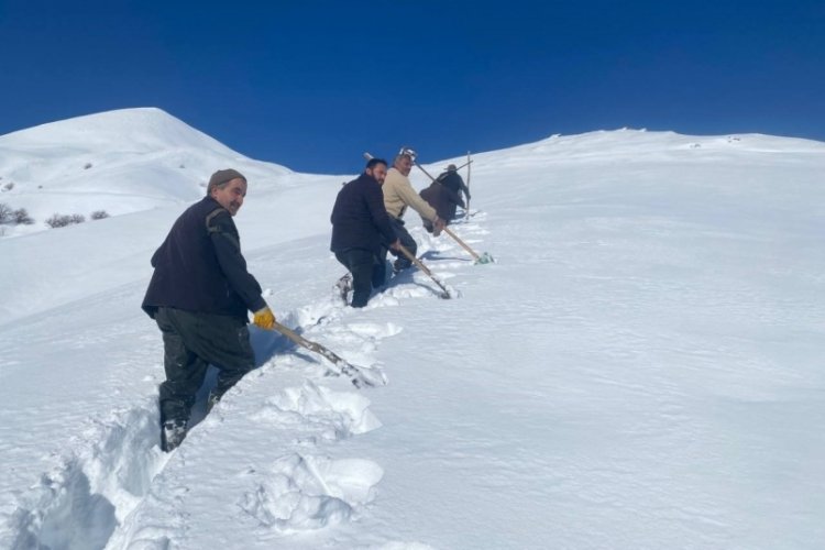&Ccedil;ığ d&uuml;şt&uuml;, mahalle 3 g&uuml;n susuz kaldı