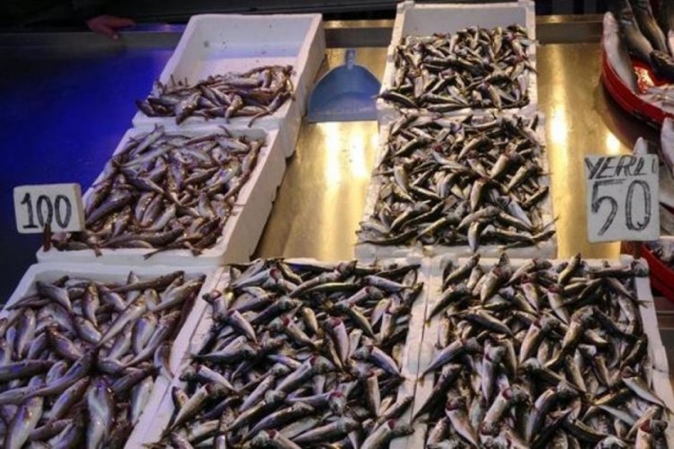 Hamsinin yerini istavrit aldı