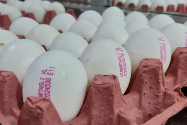 Yumurta fiyatları neden y&uuml;kseliyor? Tavuk&ccedil;ular onları sorumlu tuttu