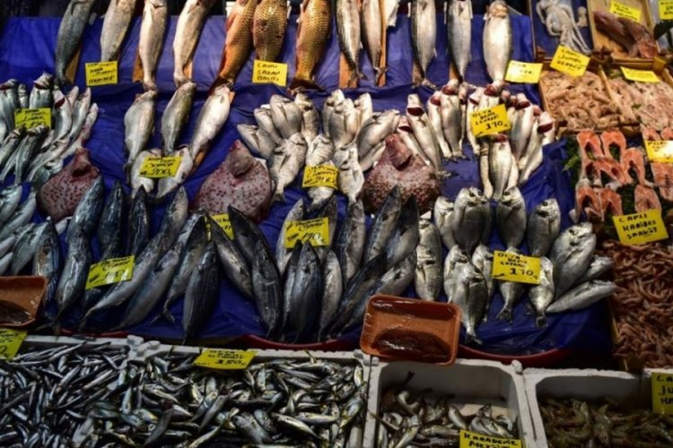 İstanbul'da balık fiyatlarında d&uuml;ş&uuml;ş!