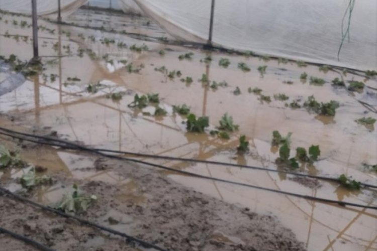 Antalya'da sağanak seralardaki &uuml;r&uuml;nlere zarar verdi!