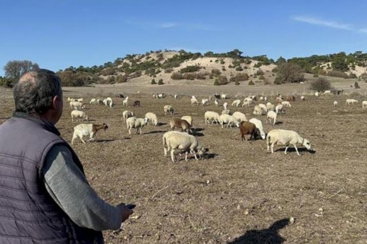 Eskişehir'de metrelerce uzaklıktan onları &ccedil;ağırsa bile yanına getirebiliyor