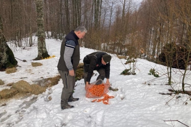 Bursa'da yaban hayvanları i&ccedil;in doğaya yiyecek bırakıldı