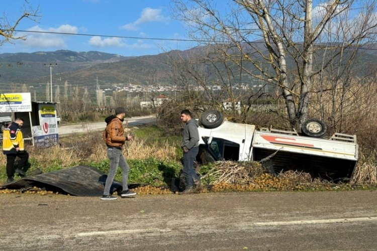 Bursa'da kamyonet devrildi, &uuml;zerindeki kiviler yola sa&ccedil;ıldı!