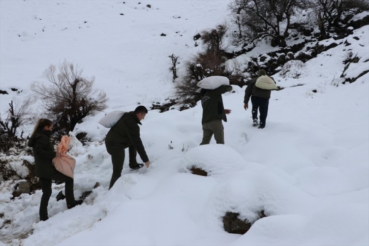 Siirt'te hayvanlar i&ccedil;in doğaya yem bırakıldı