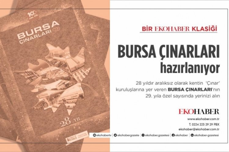 "Bursa &Ccedil;ınarları" hazırlanıyor