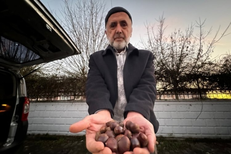 Kestane pişirmenin p&uuml;f noktaları