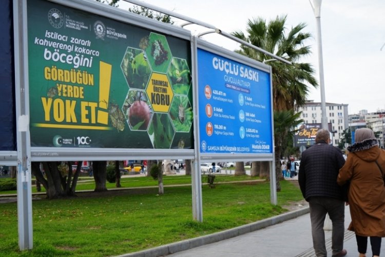 Samsun billboardlarında kahverengi kokarca ile m&uuml;cadele!