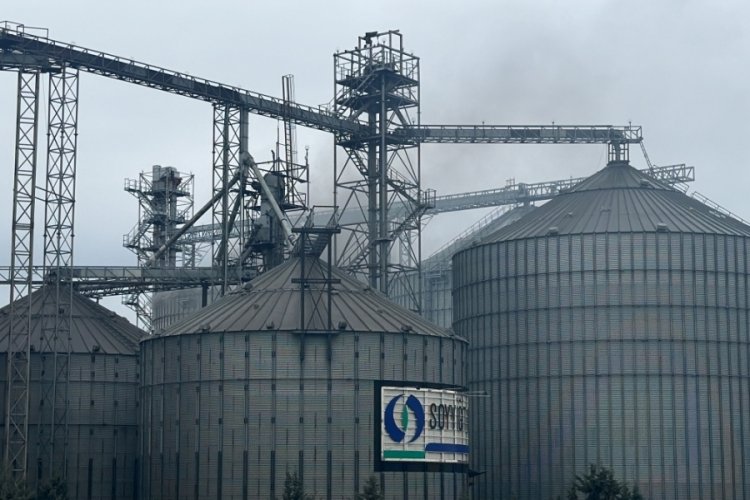 Edirne'de yağ fabrikasının ay&ccedil;i&ccedil;eği silosunda yangın &ccedil;ıktı