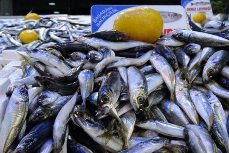 Zonguldak'ta fiyatların artışı balığa olan ilgiyi azalttı