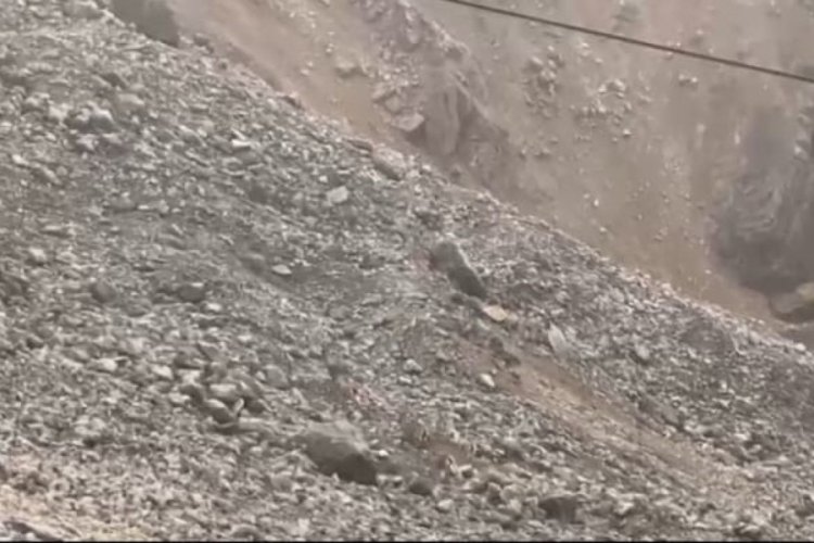Malatya'da yaban ke&ccedil;ileri s&uuml;r&uuml; halinde g&ouml;r&uuml;nt&uuml;lendi