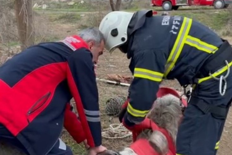 7 metrelik kuyuya d&uuml;şen ke&ccedil;i i&ccedil;in seferber oldular