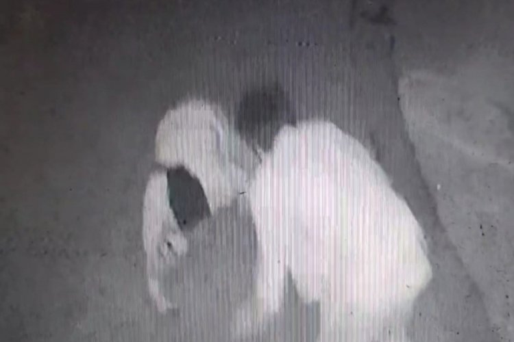 İzmir'de &ouml;ld&uuml;rmeden &ouml;nce "Sen kafirsin" diye bağırmış