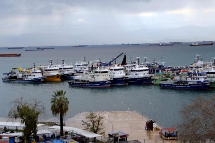 Hamsinin g&ouml;&ccedil; etmesi balık&ccedil;ılara erken paydos ettirdi