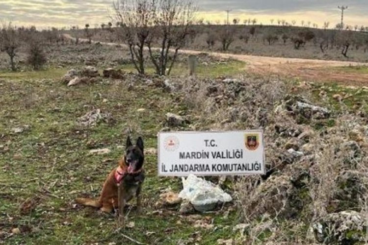 Mardin'de bombalı tuzak