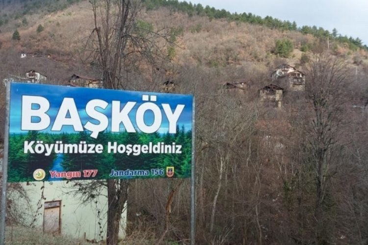 Karab&uuml;k ve Denizli'de &ccedil;ok sayıda hayvan telef oldu