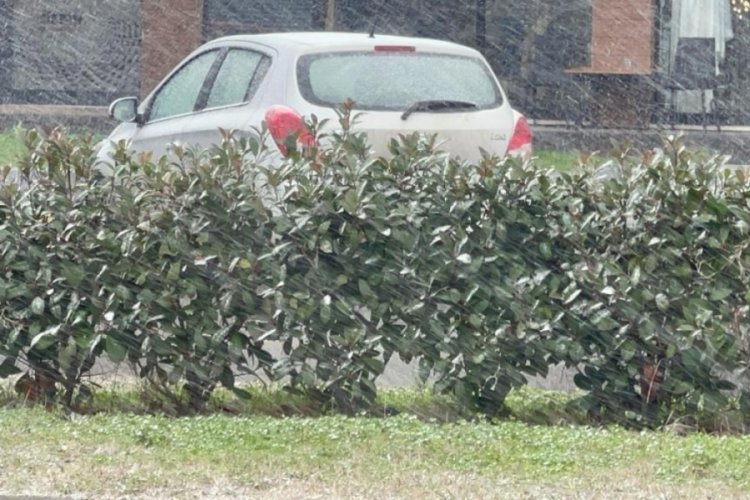 Tekirdağ'da kar yağışı etkili oluyor