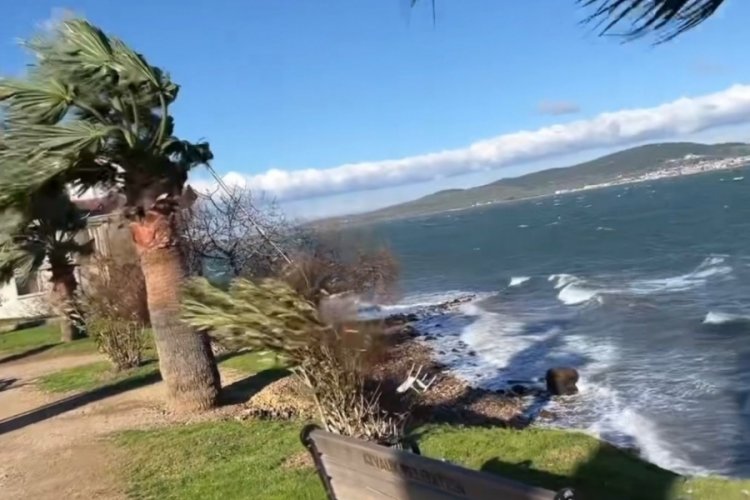 Ayvalık'ta saatte 80 kilometre hızla esen poyraz etkili oldu